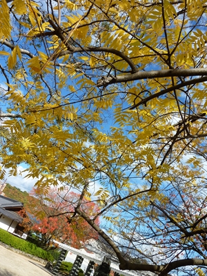 c0172719_14571283.jpg
