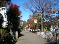 f0177521_23222168.jpg