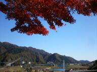 f0177521_23231260.jpg
