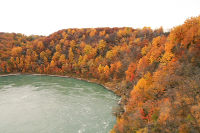 015 Niagara Falls ～紅葉とチョウ～_c0211532_943317.jpg