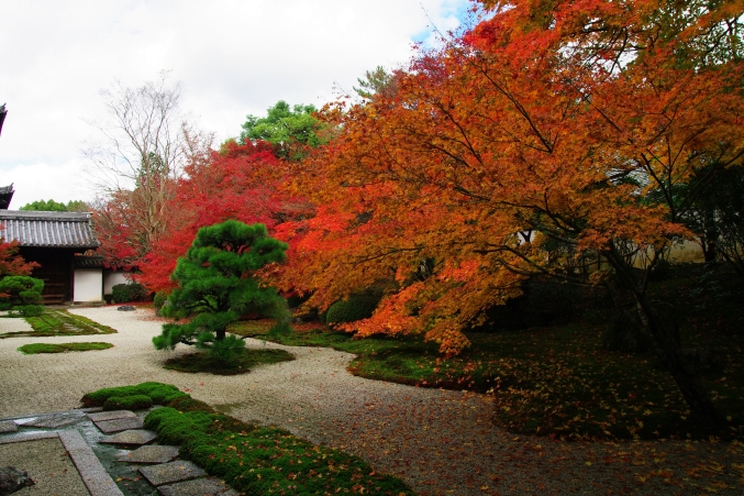 そうだ　京都、行こう。　～Traditional　Red　南禅寺・天授庵～　_d0145934_19125075.jpg