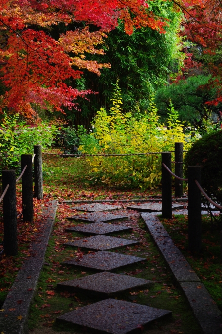 そうだ　京都、行こう。　～Traditional　Red　南禅寺・天授庵～　_d0145934_19131992.jpg