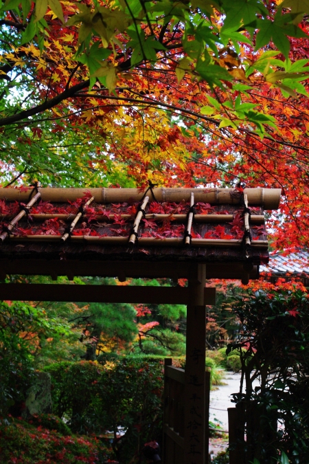 そうだ　京都、行こう。　～Traditional　Red　南禅寺・天授庵～　_d0145934_1913365.jpg