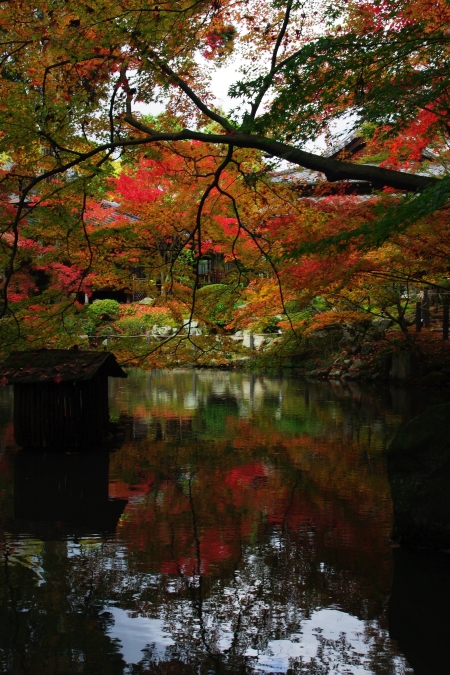 そうだ　京都、行こう。　～Traditional　Red　南禅寺・天授庵～　_d0145934_19143270.jpg