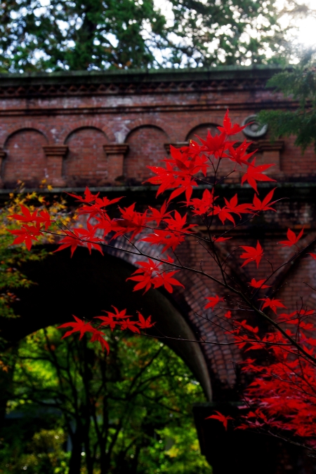 そうだ　京都、行こう。　～Traditional　Red　南禅寺・天授庵～　_d0145934_1914498.jpg