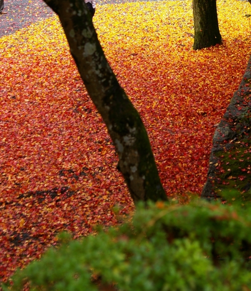 そうだ　京都、行こう。　～Traditional　Red　南禅寺・天授庵～　_d0145934_1915296.jpg