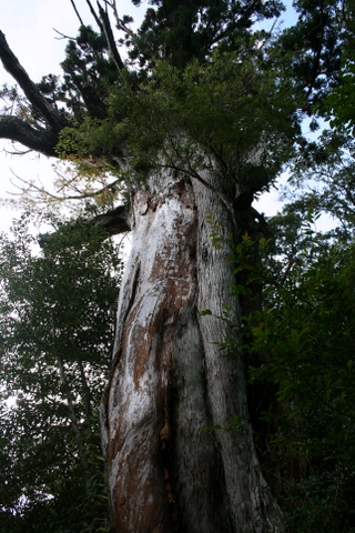 c0156438_14311297.jpg