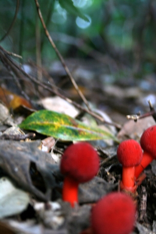 c0156438_14323123.jpg