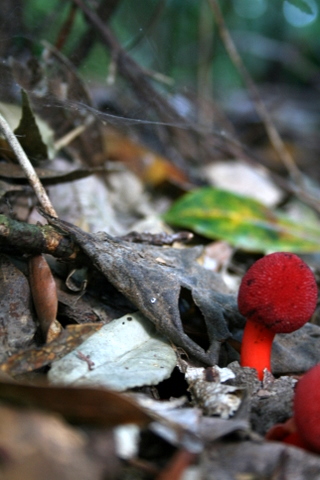 c0156438_14324691.jpg