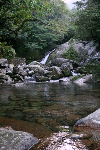 c0156438_1434881.jpg
