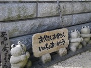 e0186942_2064171.jpg