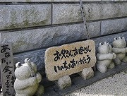 かえる寺_e0186942_2064171.jpg