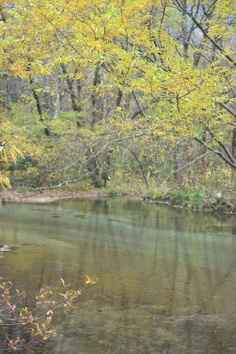 c0228945_17181768.jpg