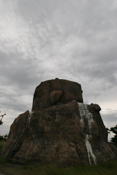 f0153646_1172841.jpg