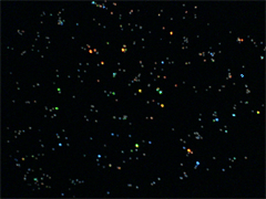 2009年11月16日(月) 高速移動体_e0005548_2243477.gif