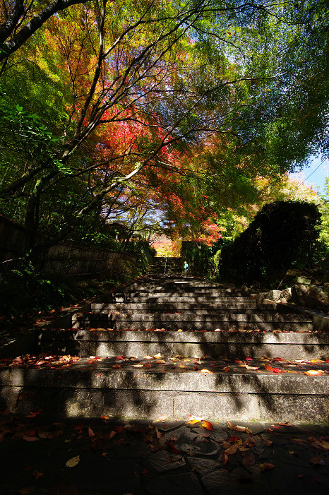 2009紅葉 Ⅴ　金蔵寺_f0152550_17431416.jpg