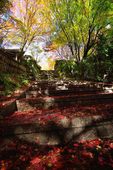 2009紅葉 Ⅴ 金蔵寺_f0152550_17431984.jpg