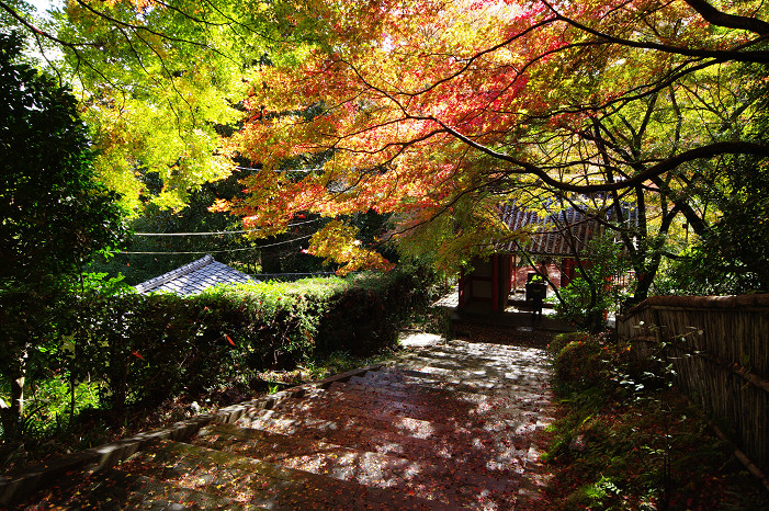 2009紅葉 Ⅴ　金蔵寺_f0152550_17432732.jpg