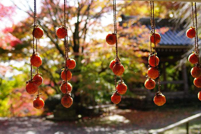 2009紅葉 Ⅴ　金蔵寺_f0152550_17434618.jpg