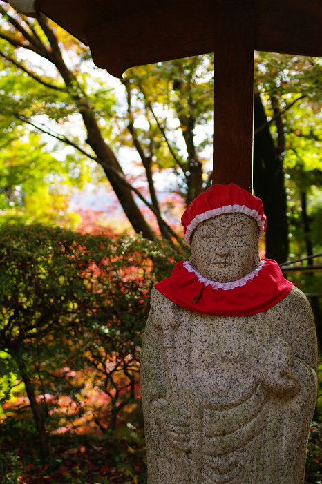 2009紅葉 Ⅴ 金蔵寺_f0152550_1743526.jpg
