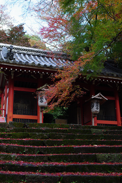 2009紅葉 Ⅴ　金蔵寺_f0152550_1743695.jpg