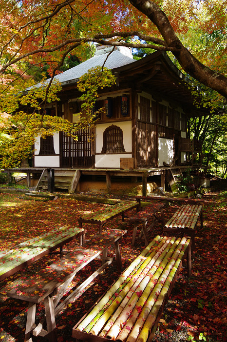 2009紅葉 Ⅴ 金蔵寺_f0152550_17441444.jpg