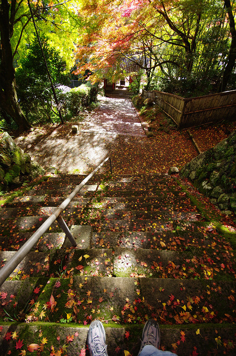 2009紅葉 Ⅴ 金蔵寺_f0152550_17442137.jpg