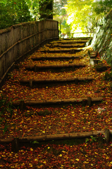 2009紅葉 Ⅴ　金蔵寺_f0152550_17451799.jpg