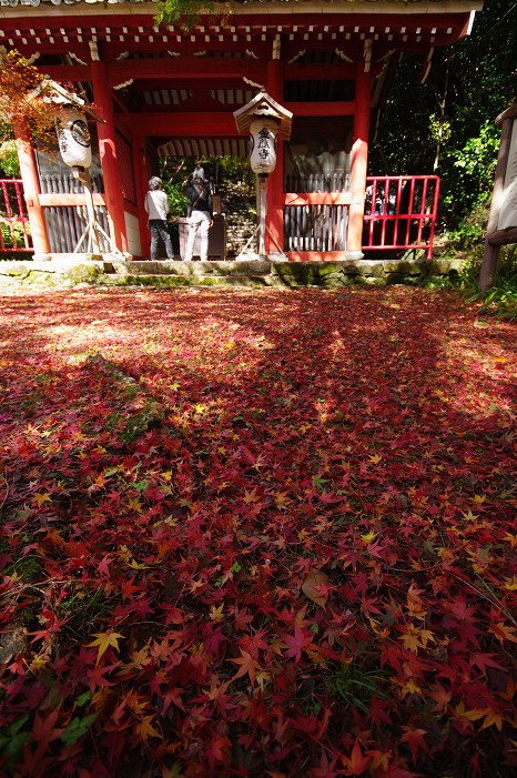 2009紅葉 Ⅴ　金蔵寺_f0152550_17455934.jpg