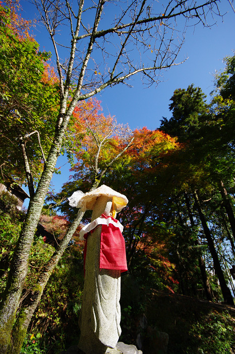 2009紅葉 Ⅴ　金蔵寺_f0152550_1746694.jpg