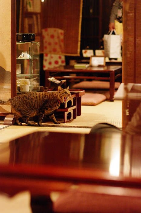 2009紅葉 Ⅴ 金蔵寺_f0152550_17481127.jpg