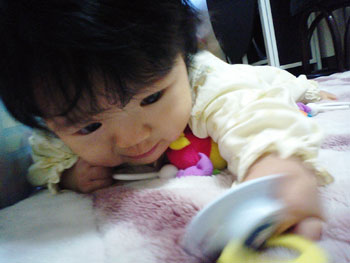 b0168851_12858.jpg