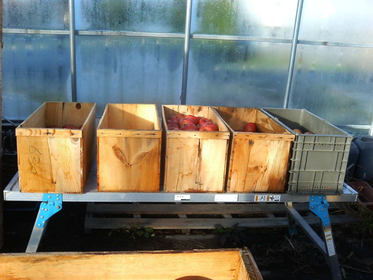 f0104457_82574.jpg