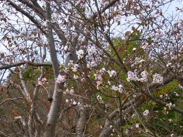 c0178561_20561920.jpg