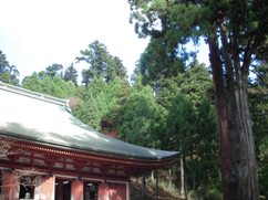 比叡山延暦寺　参拝_f0036962_811542.jpg