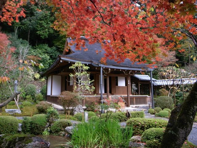 2009年 京都の紅葉（速報版；プロローグ）_f0046764_20244730.jpg