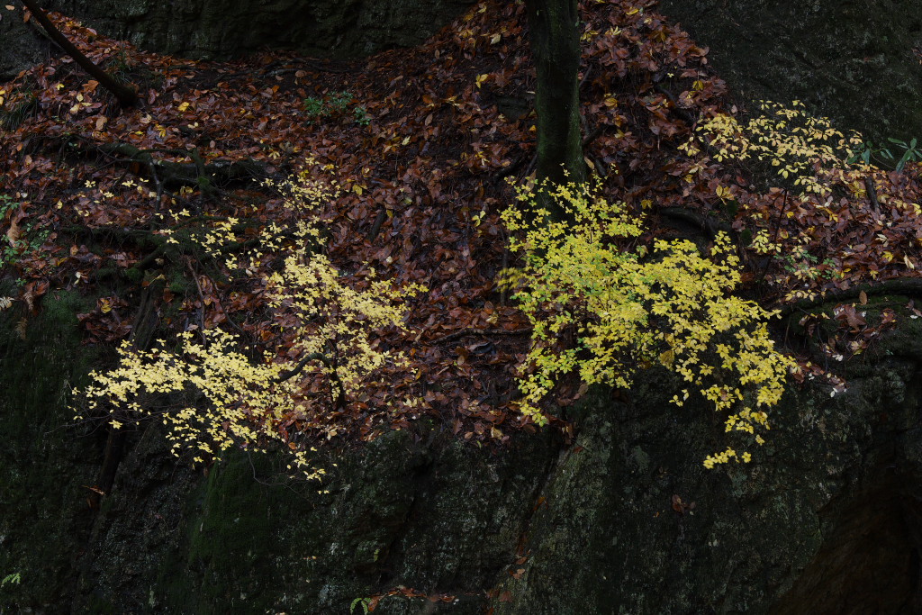 f0171065_2151491.jpg