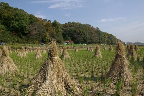 ウィークデイの休日_e0167571_2392569.jpg