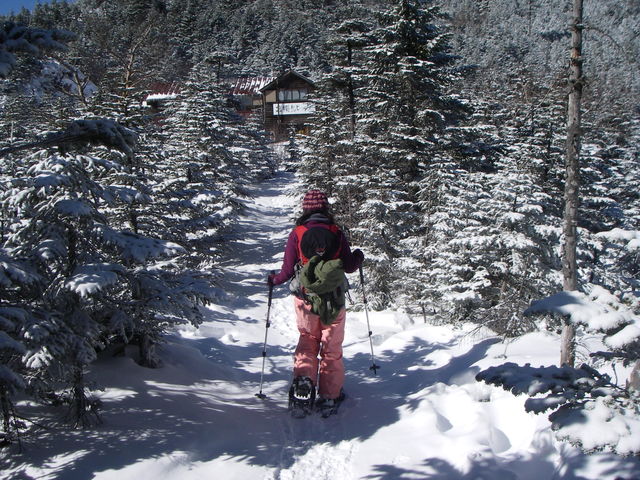 雪の北横岳から縞枯山まで_f0202271_223703.jpg