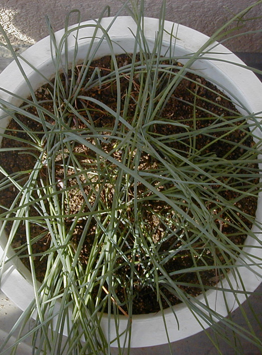 e0126576_1340680.jpg