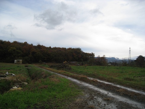 a0087378_66846.jpg