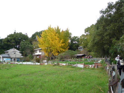 d0149379_2332838.jpg
