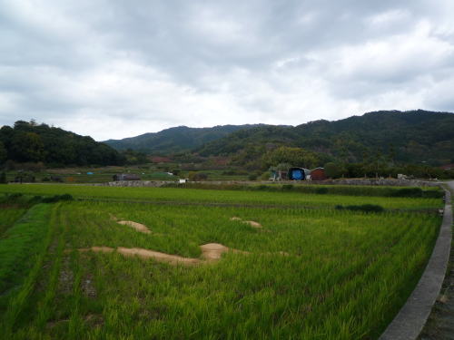 d0149379_23354437.jpg