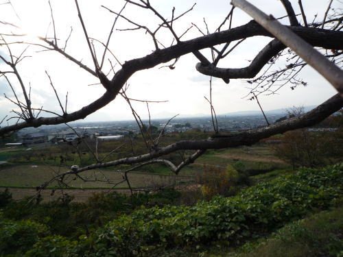 d0149379_23402791.jpg