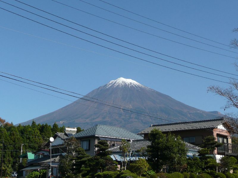 e0171785_1384834.jpg