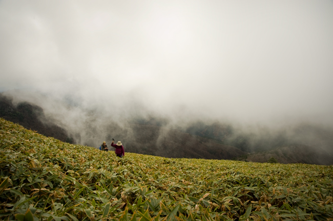 登山道_c0168986_11461927.jpg