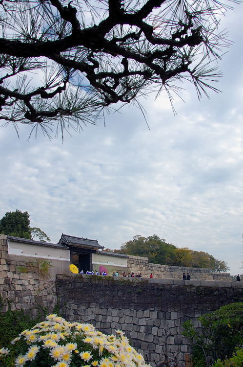 e0169286_1135430.jpg