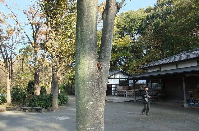 e0070891_1832443.jpg