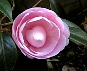 e0115693_2092577.jpg
