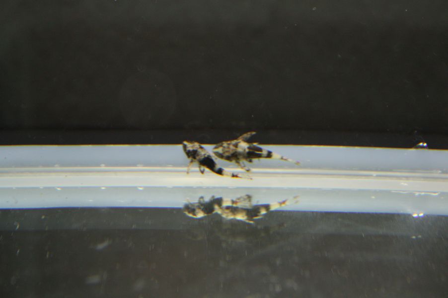 b0188296_036275.jpg